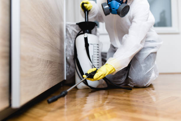 Best Residential Pest Control  in Foster City, CA