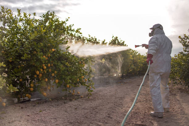 Best Pest Inspection Near Me  in Foster City, CA