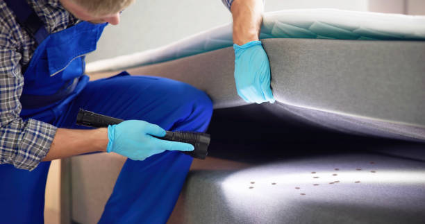 Best Emergency Pest Control  in Foster City, CA
