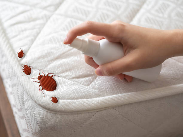 Best Residential Pest Control  in Foster City, CA