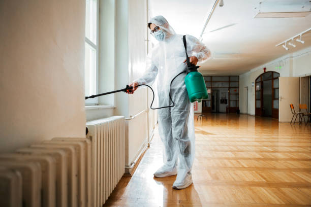 Best Affordable Pest Control Services  in Foster City, CA