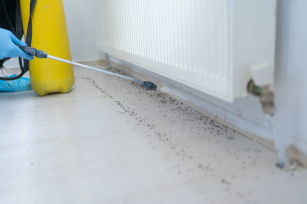 Best Spider Control Near Me  in Foster City, CA