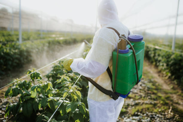 Best Emergency Pest Control  in Foster City, CA